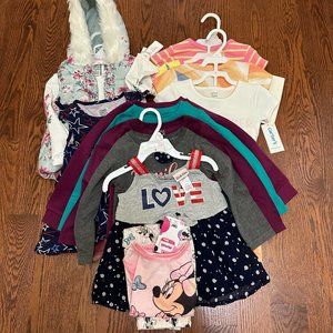 Size 2T - Toddler Girl Clothes Bundle